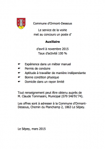 Auxiliaire_service_de_la_voirie_03-2015