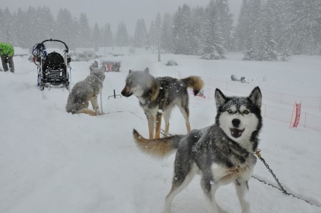 DSC_0007